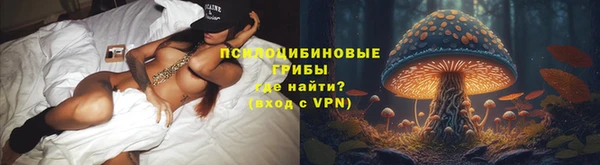 соль ск Аркадак