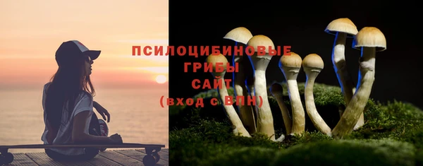 соль ск Аркадак
