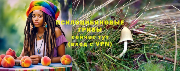 соль ск Аркадак