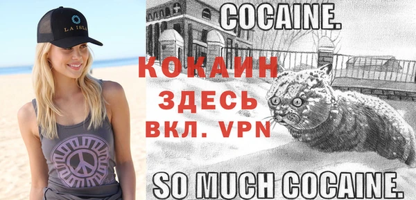 дурь Арсеньев