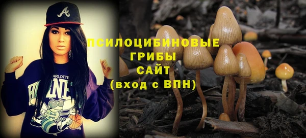 дурь Арсеньев